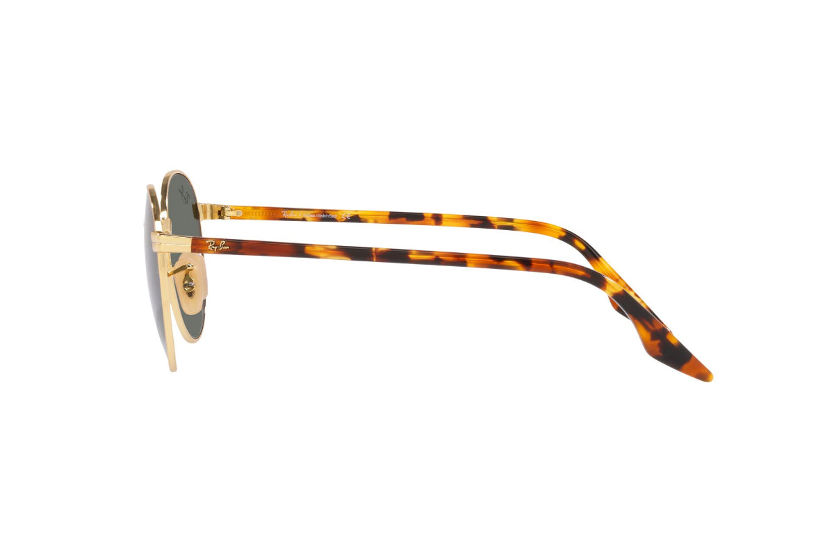 Ray-Ban Lentes de Sol RB3691L