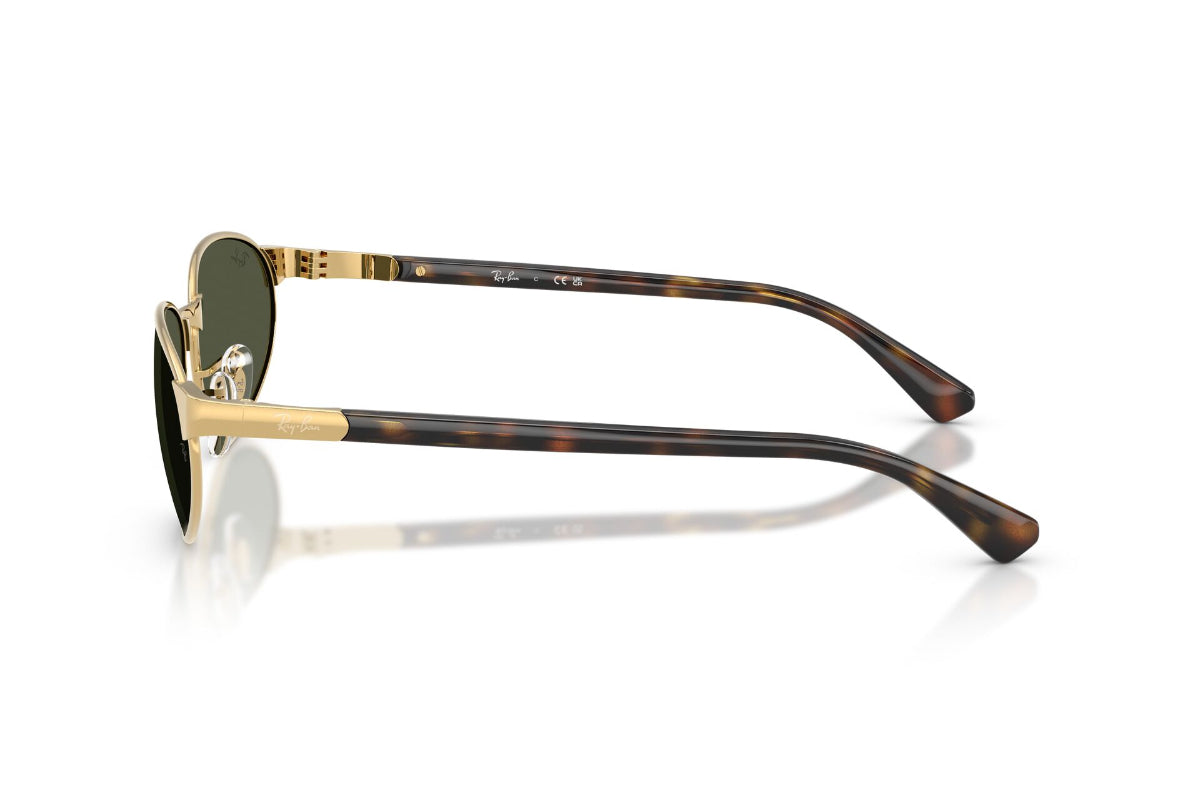 Ray-Ban Lentes de Sol RB3777