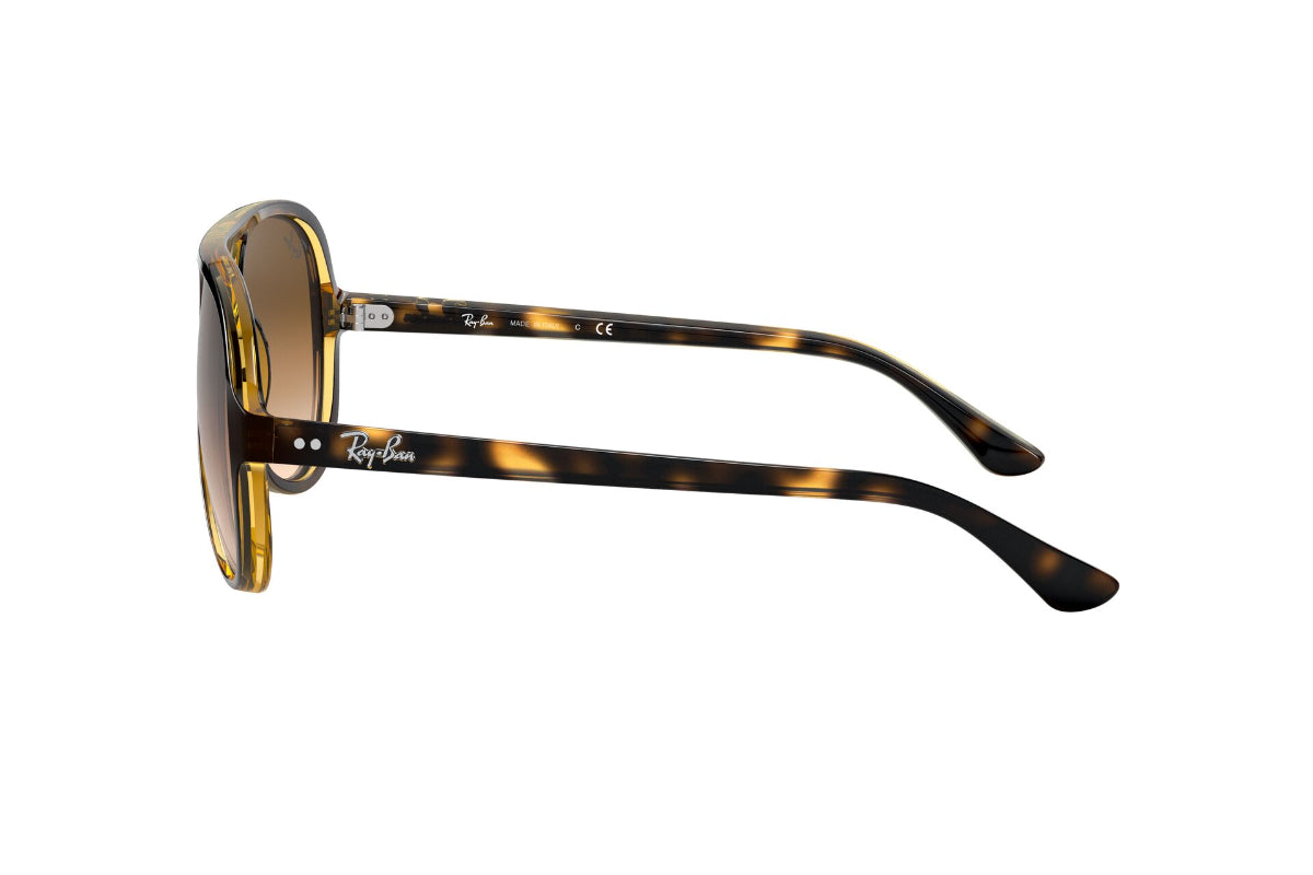 Ray-Ban Cats 5000