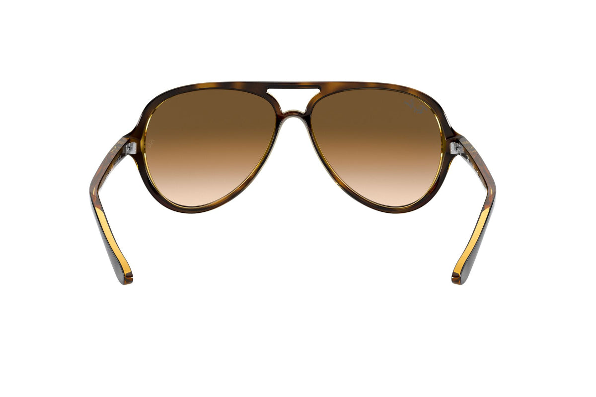 Ray-Ban Cats 5000