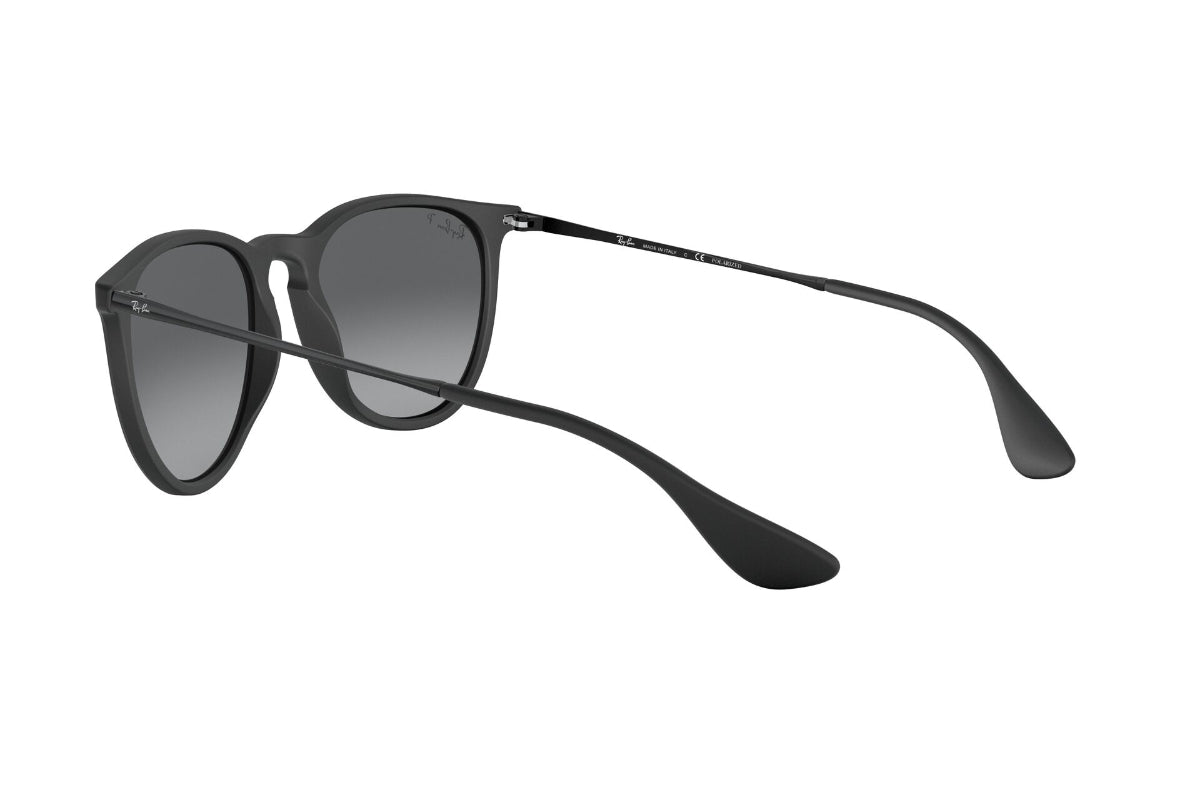 Lentes de Sol Erika Black Polarizado Ray-Ban