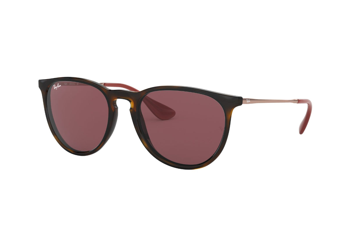 Lentes de Sol Erika Havana Dark Violet Ray-Ban