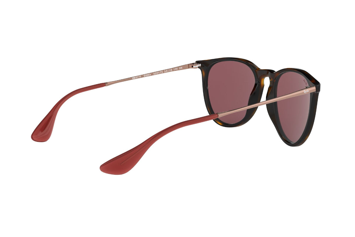 Lentes de Sol Erika Havana Dark Violet Ray-Ban