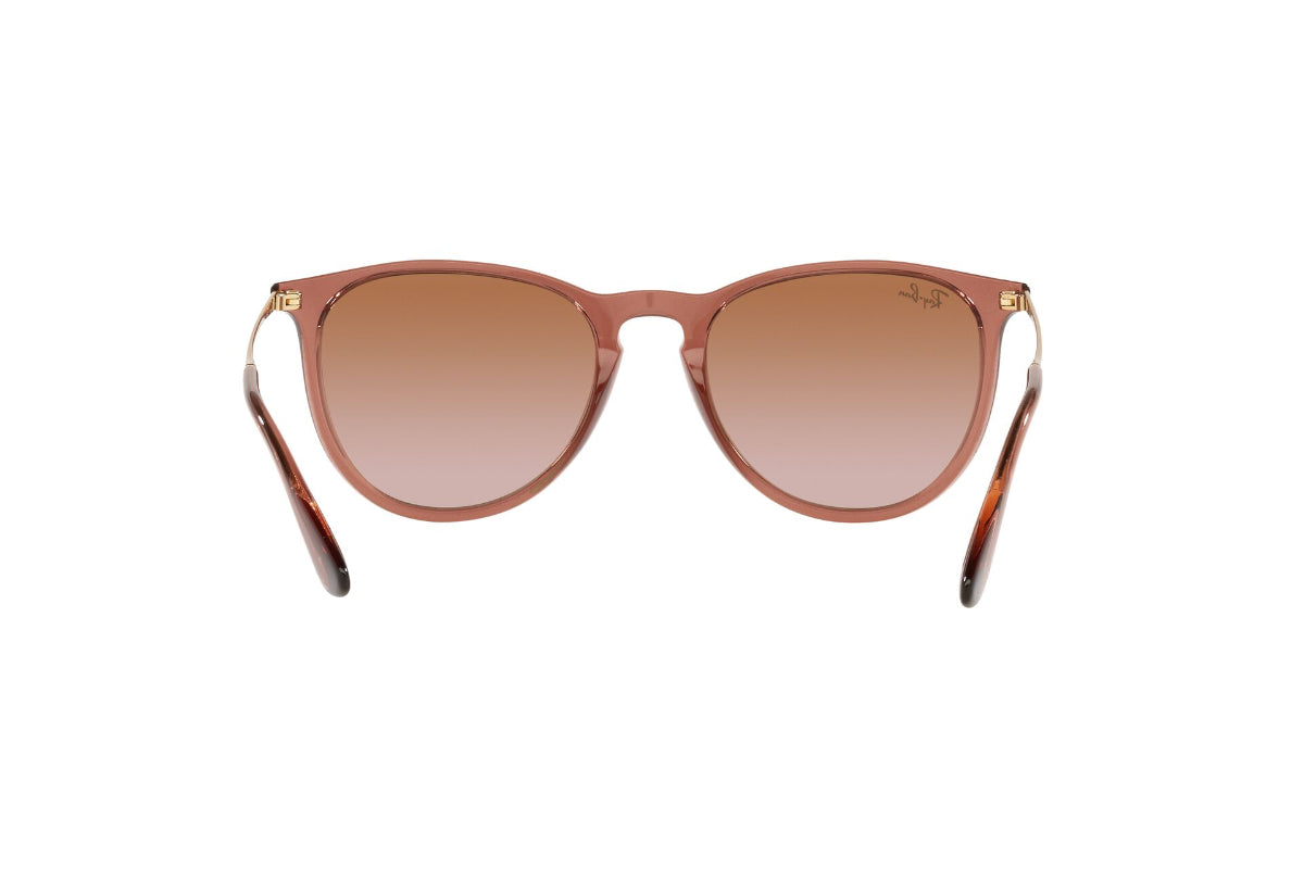 Lentes de Sol Erika Transparent Light Brown Ray-Ban