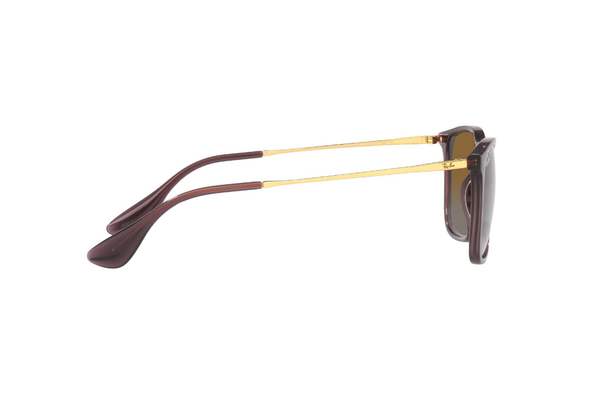 Ray-Ban Chris Polarizados