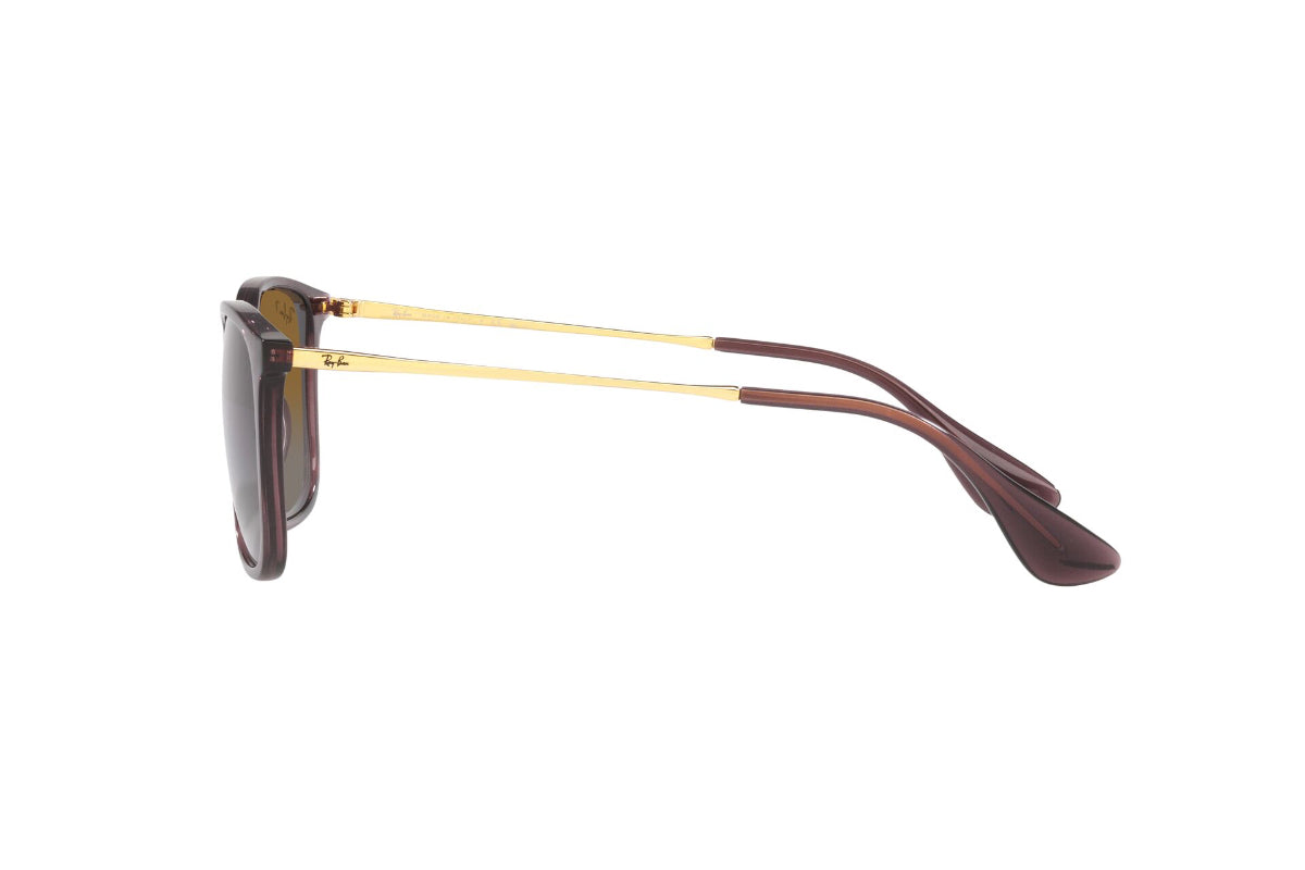 Ray-Ban Chris Polarizados