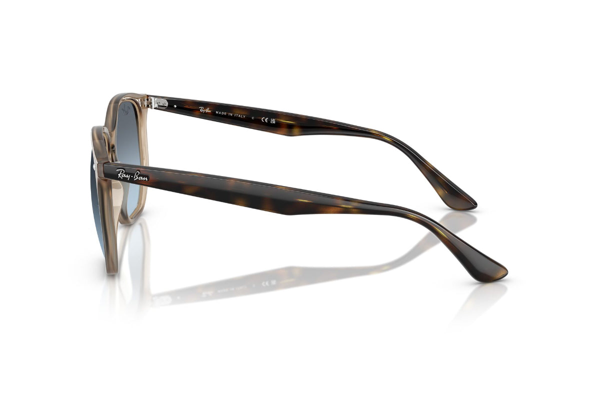Ray-Ban Lentes de Sol Degradados