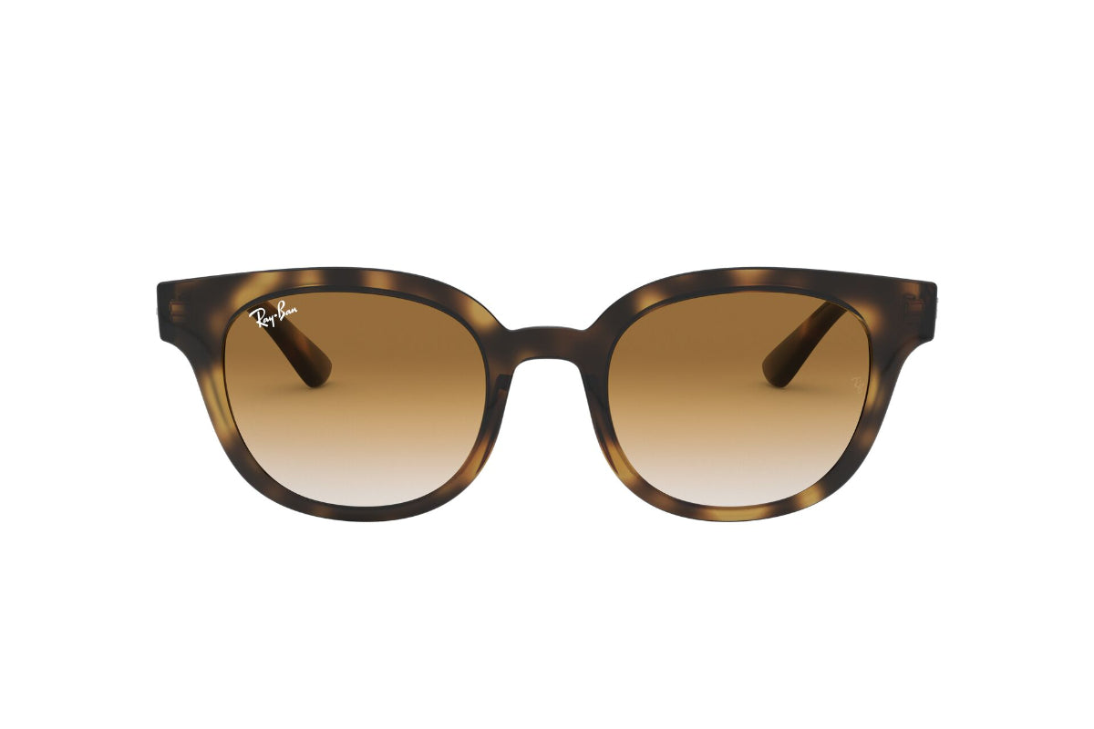 Lentes de Sol Light Havana Ray Ban