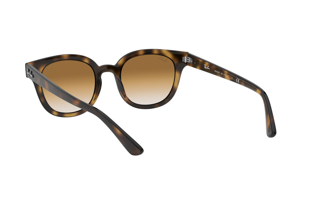 Lentes de Sol Light Havana Ray Ban