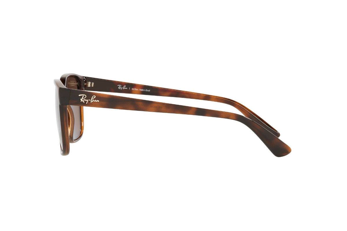 Lentes de Sol Light Havana Ray-Ban