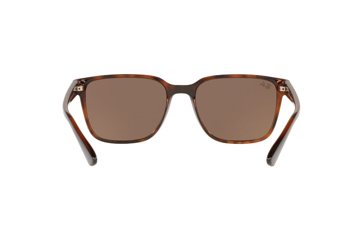 Lentes de Sol Light Havana Ray-Ban
