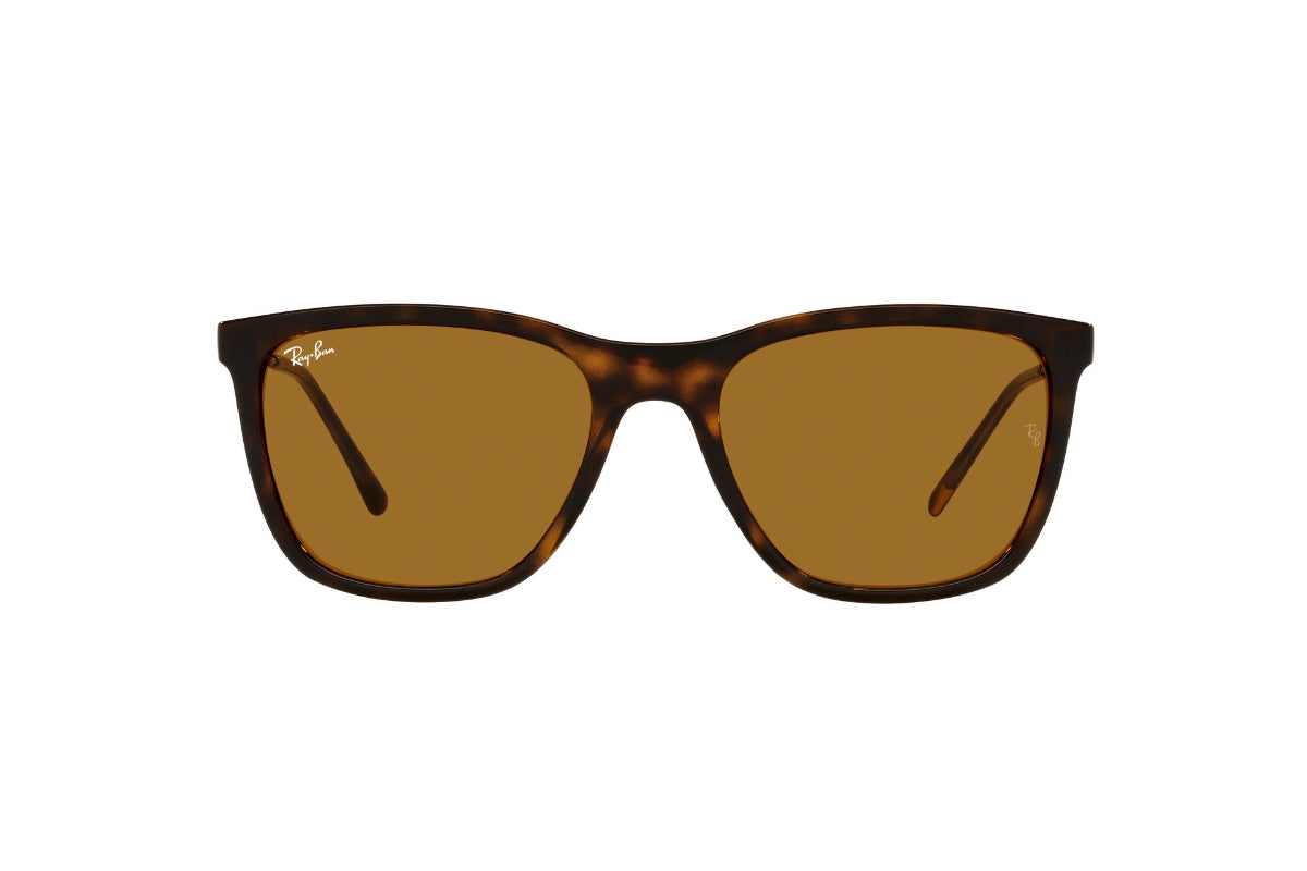 Lentes de Sol Havana  Ray Ban