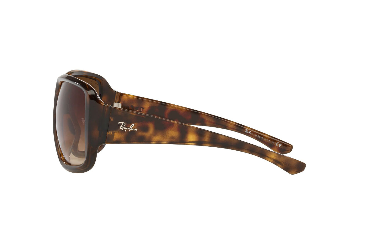 Lentes de Sol Powderhorn Havana  Ray Ban