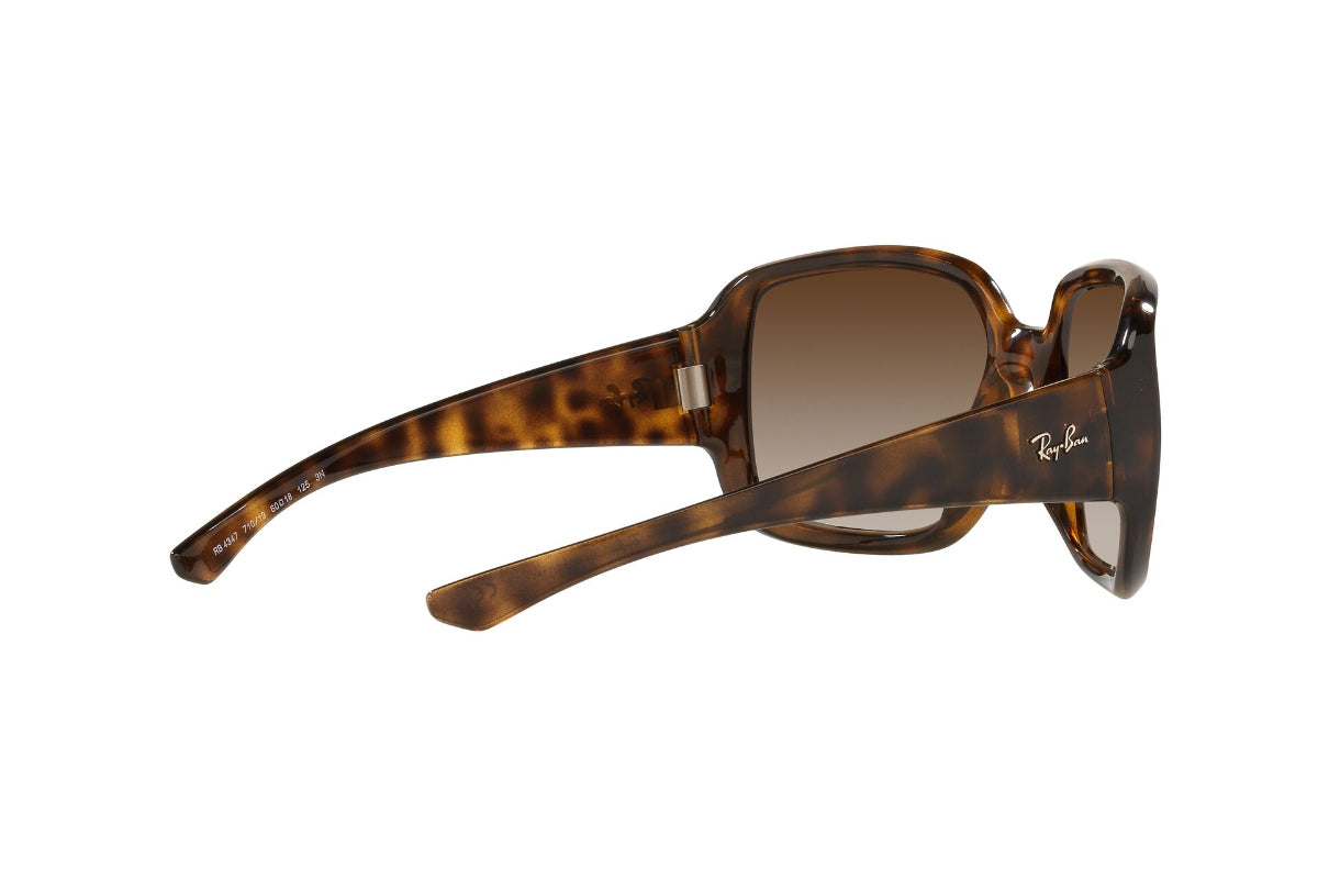 Lentes de Sol Powderhorn Havana  Ray Ban