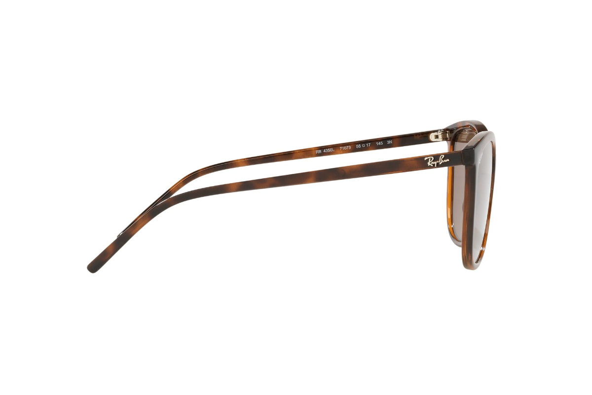 Lentes de Sol Dark Havana Ray Ban