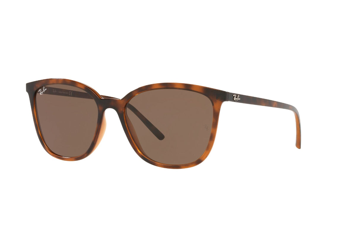 Lentes de Sol Dark Havana Ray Ban