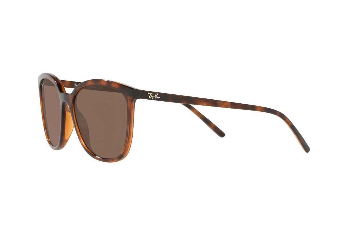 Lentes de Sol Dark Havana Ray Ban