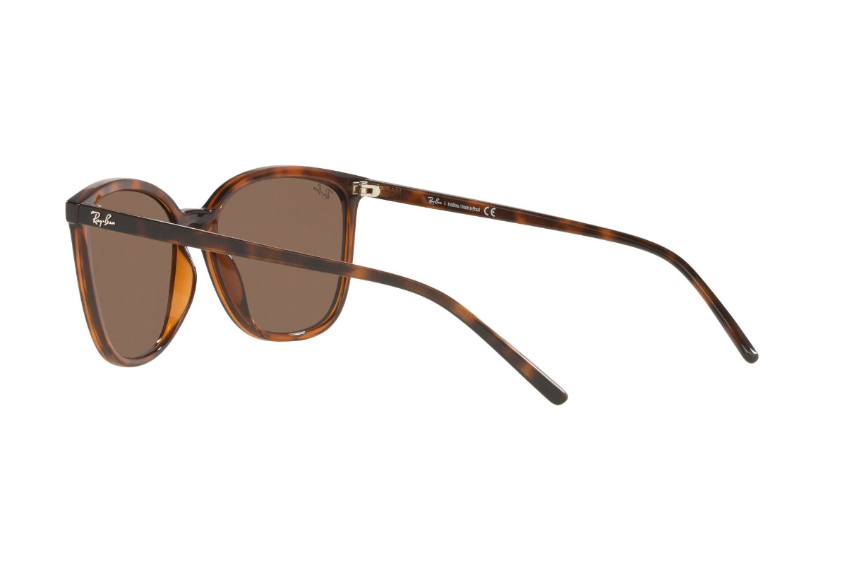 Lentes de Sol Dark Havana Ray Ban