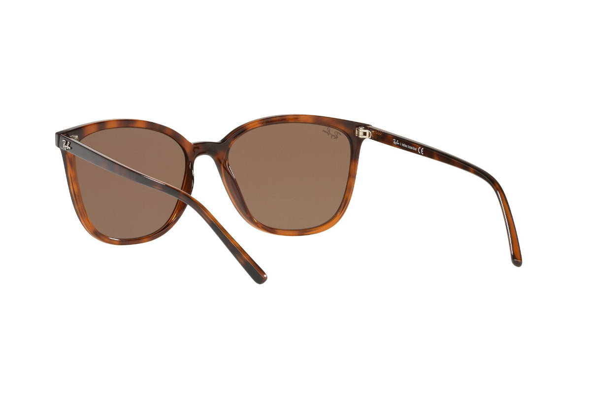 Lentes de Sol Dark Havana Ray Ban