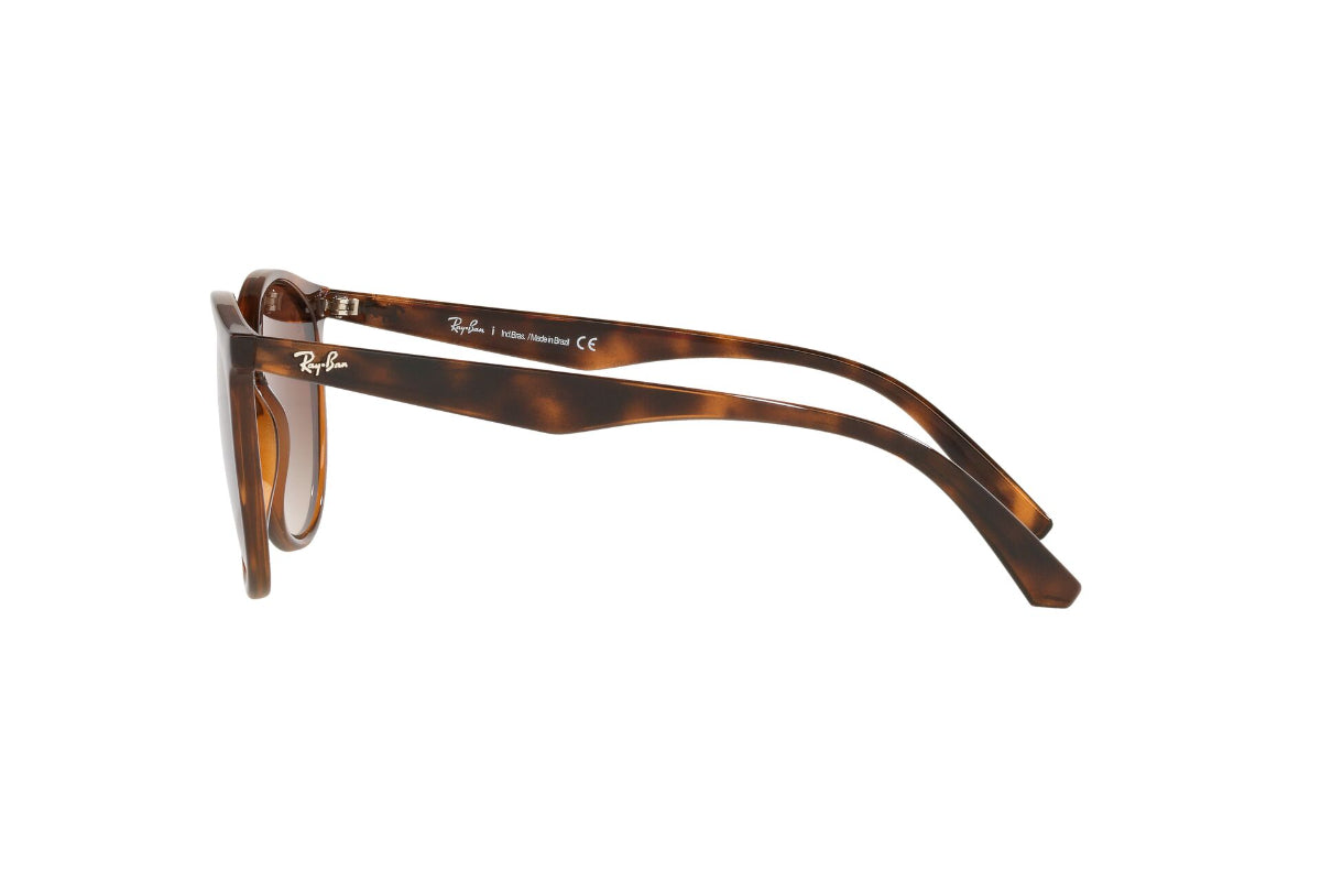 Lentes de Sol Dark Havana Ray-Ban