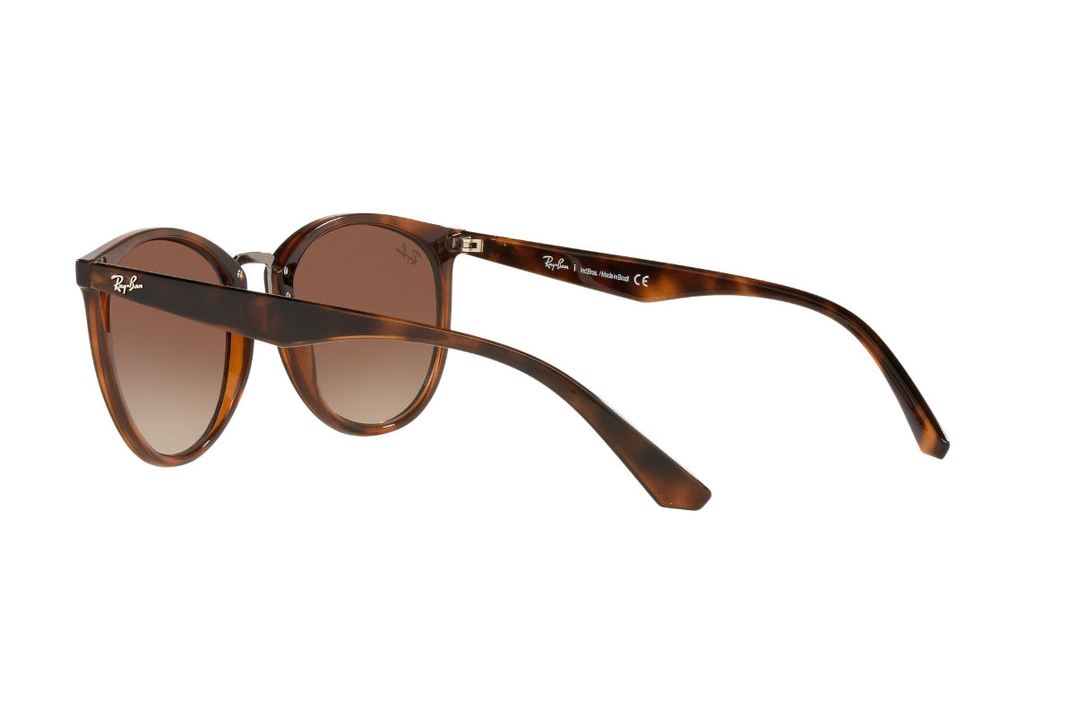 Lentes de Sol Dark Havana Ray-Ban