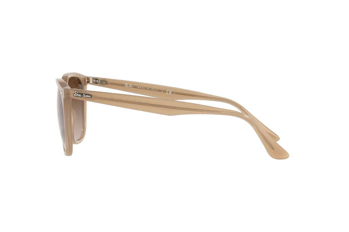 Ray-Ban Lentes de Sol