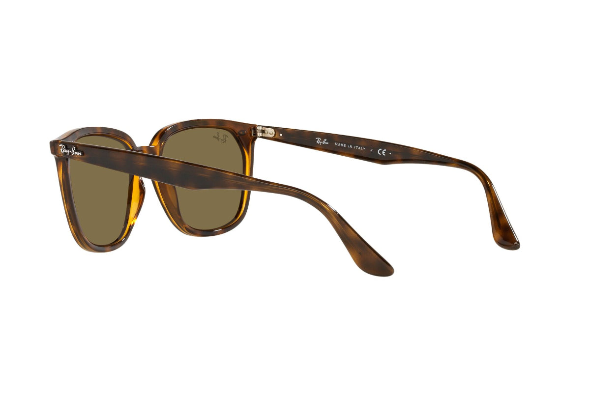 Lentes de Sol Havana Ray-Ban