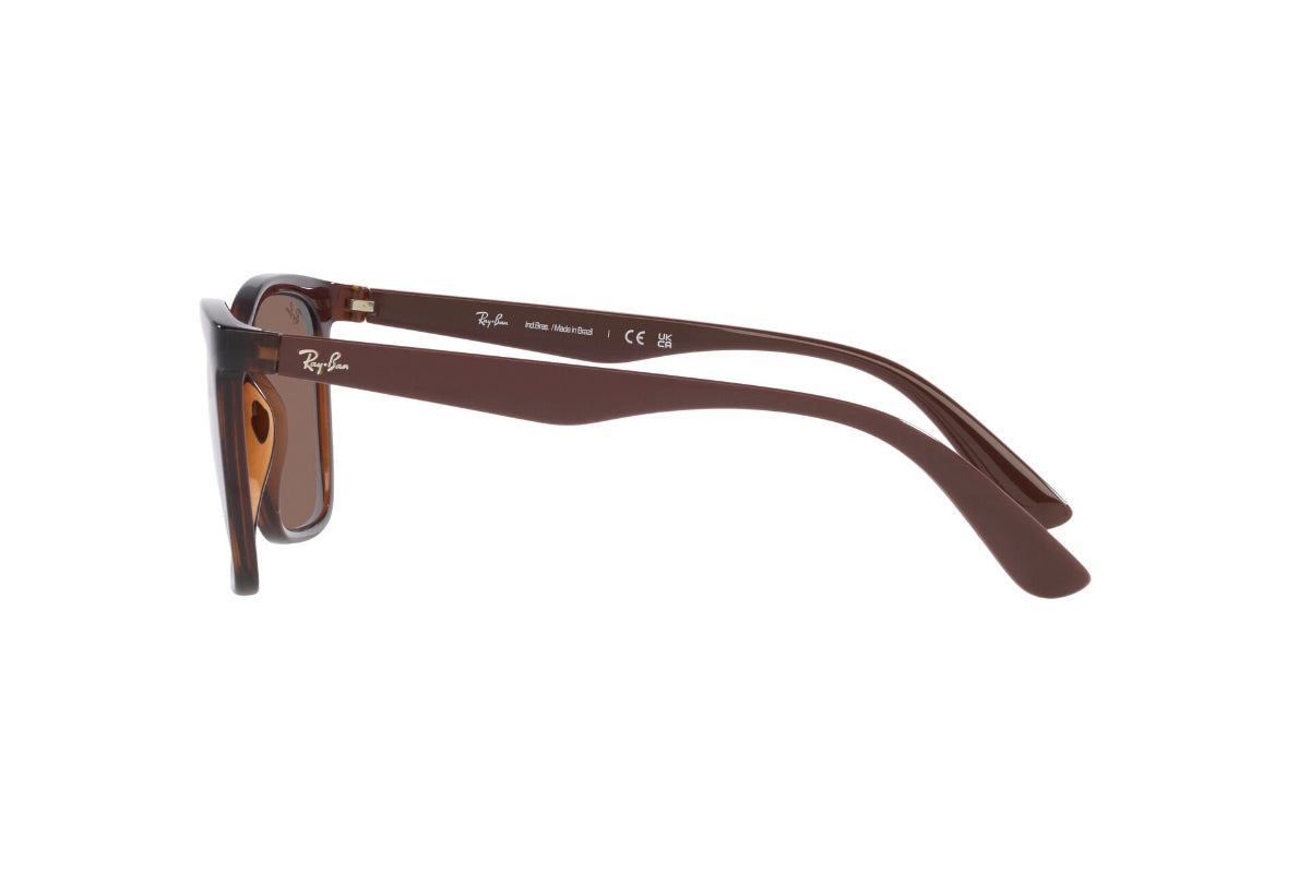 Ray-Ban Lentes de Sol