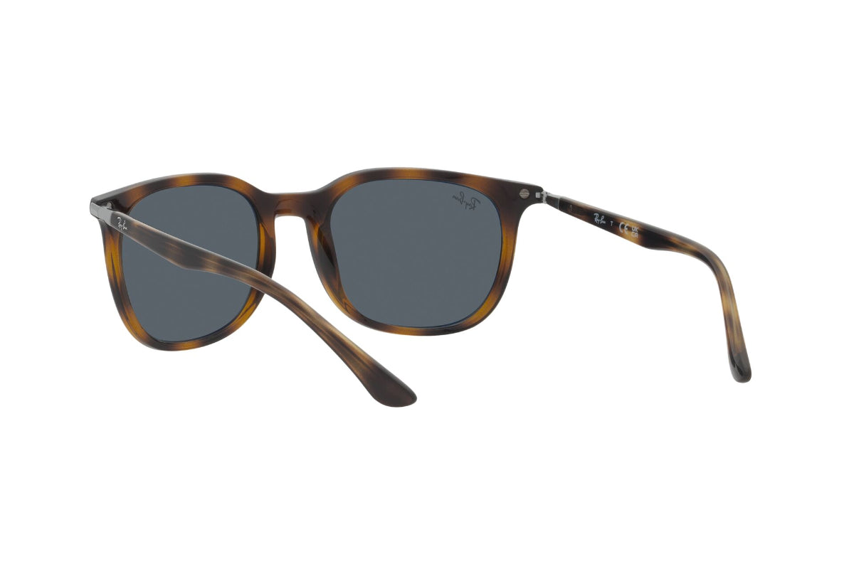 Ray-Ban Lentes de Sol