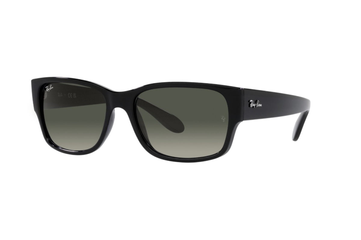 Ray-Ban Lentes de Sol