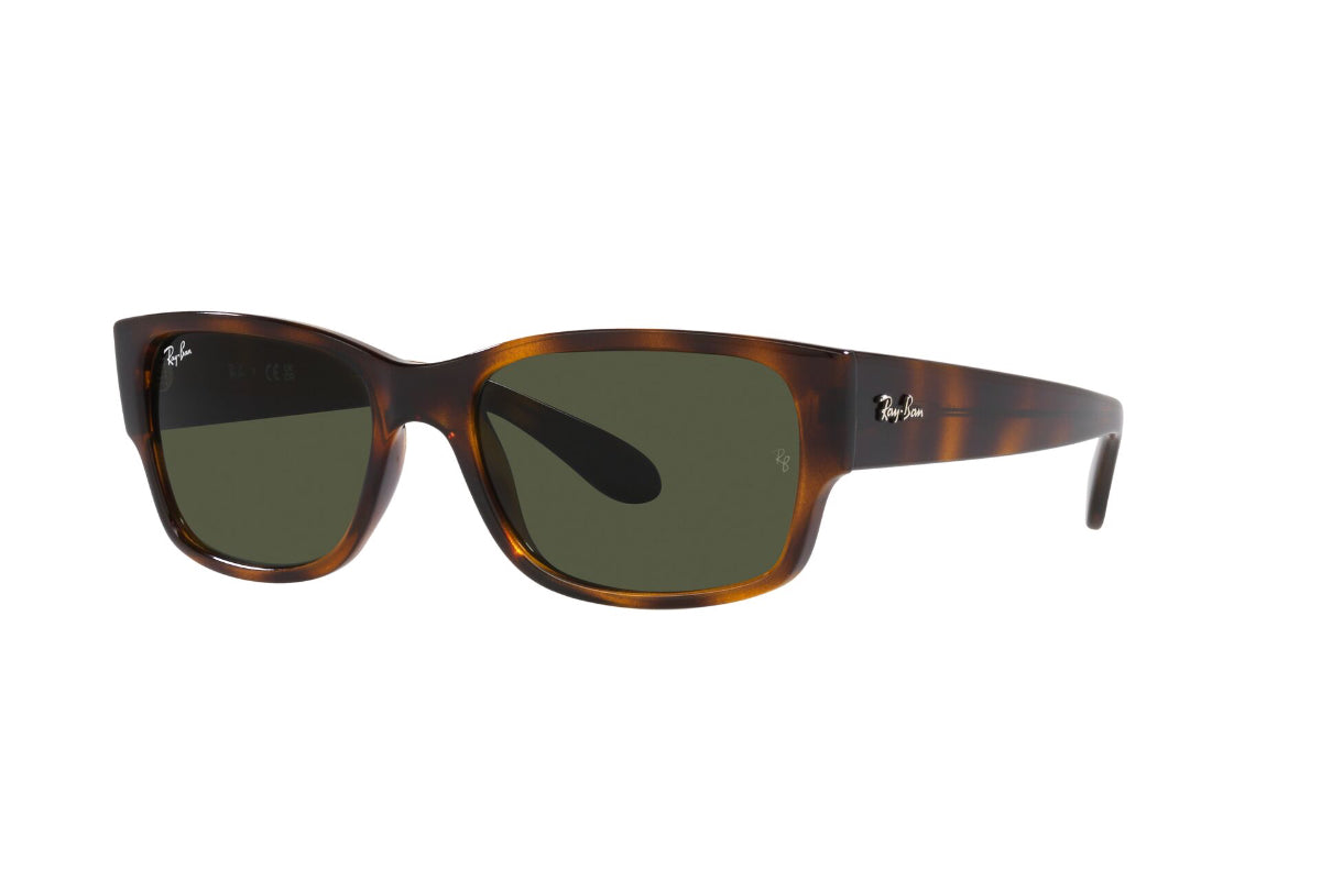 Ray-Ban Lentes de Sol