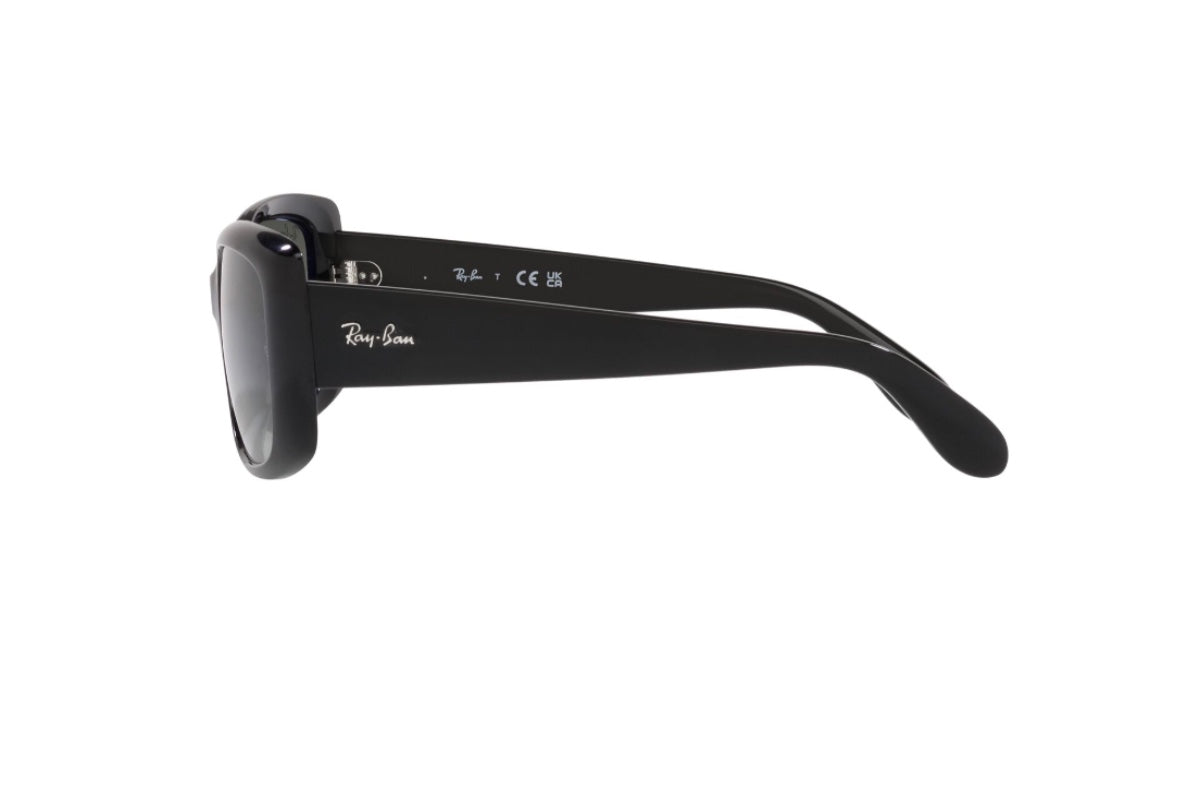 Ray-Ban Lentes de Sol