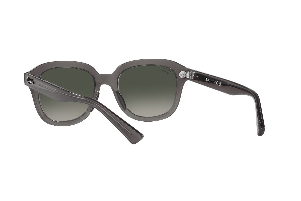 Ray-Ban Erik