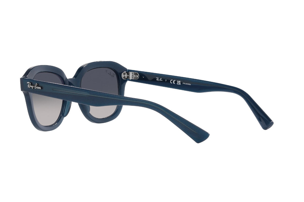 Ray-Ban Erik Polarizados