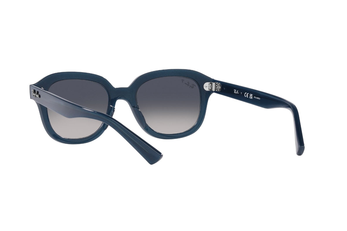 Ray-Ban Erik Polarizados