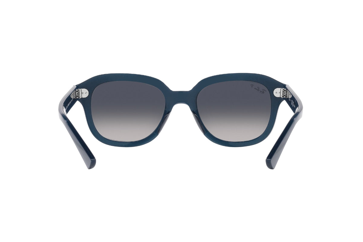 Ray-Ban Erik Polarizados