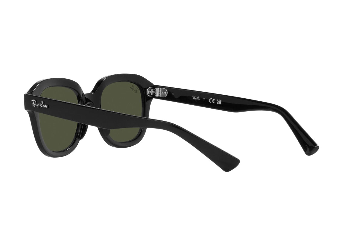 Ray-Ban Erik