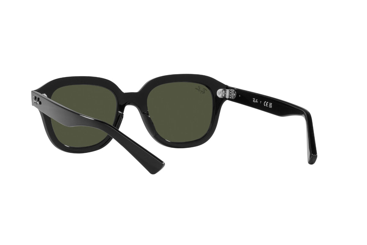 Ray-Ban Erik