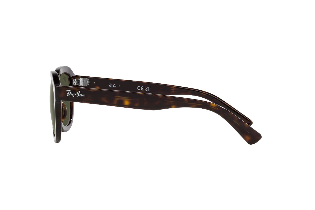 Ray-Ban Lentes de Sol Erik RB4398