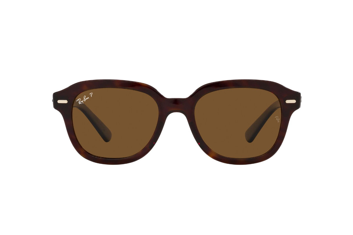 Ray-Ban Erik Polarizados
