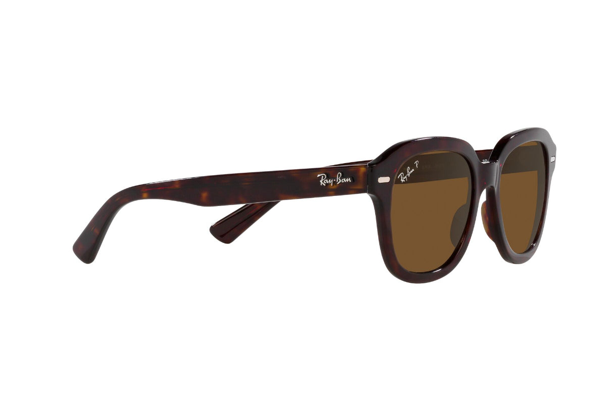 Ray-Ban Erik Polarizados
