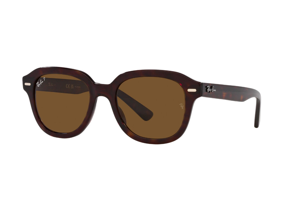 Ray-Ban Erik Polarizados