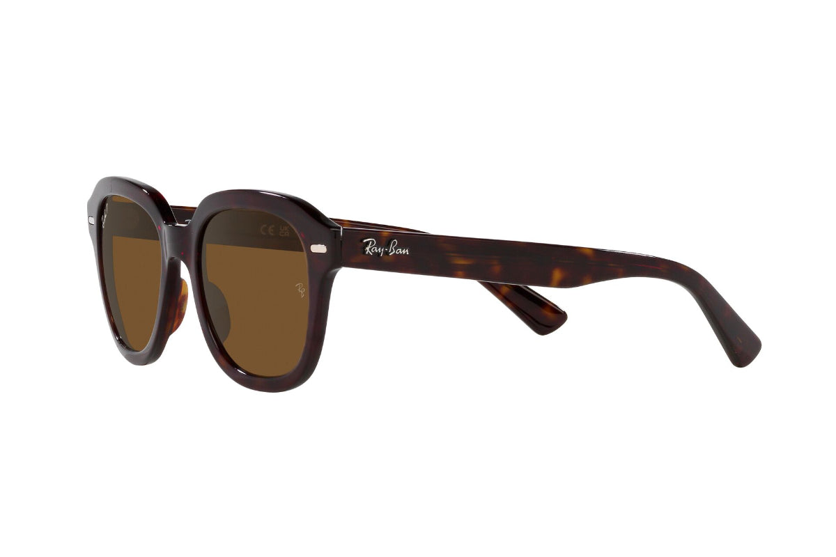 Ray-Ban Erik Polarizados