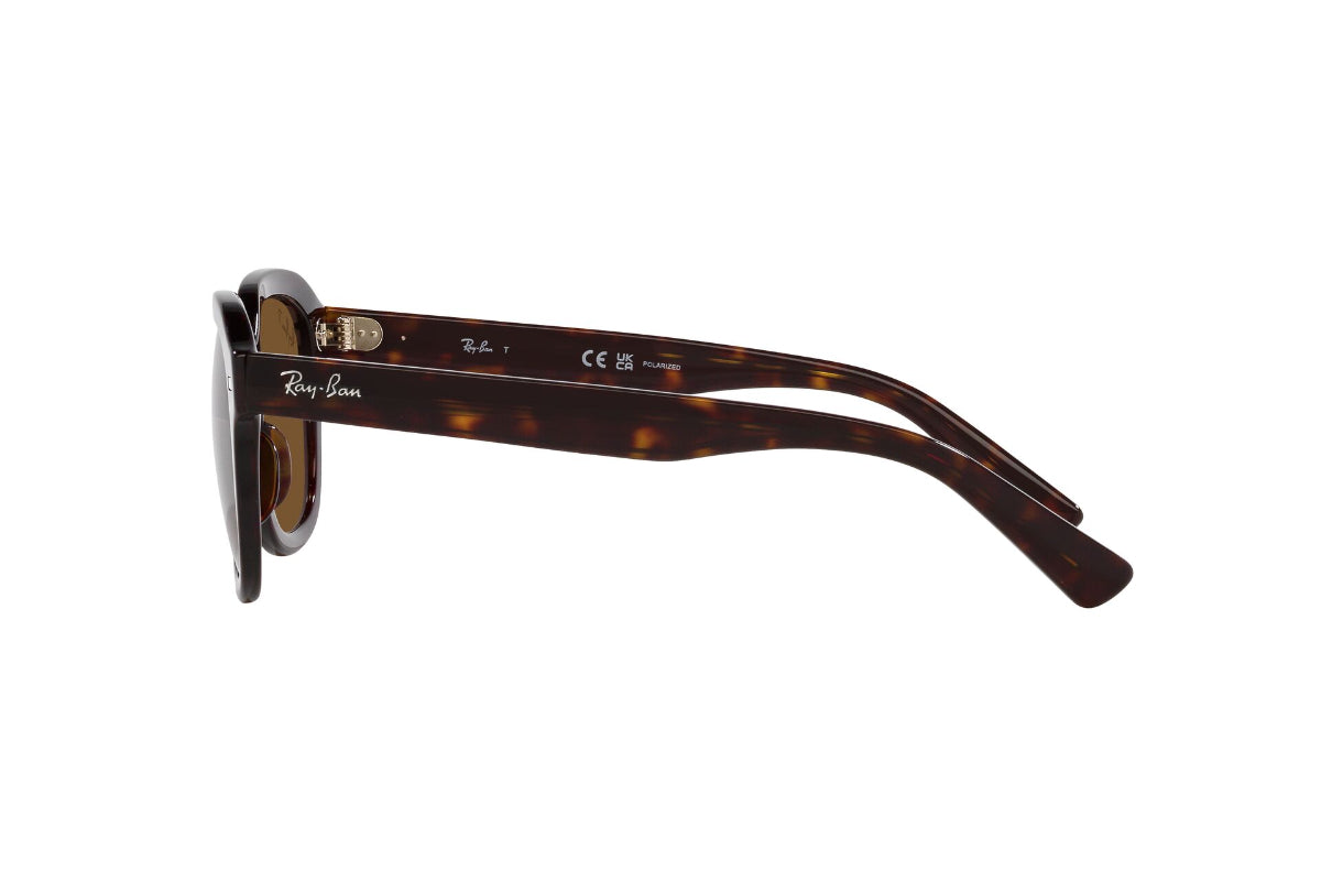 Ray-Ban Erik Polarizados