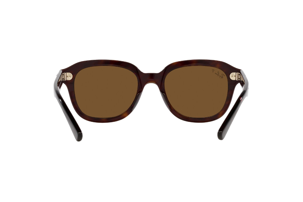 Ray-Ban Erik Polarizados