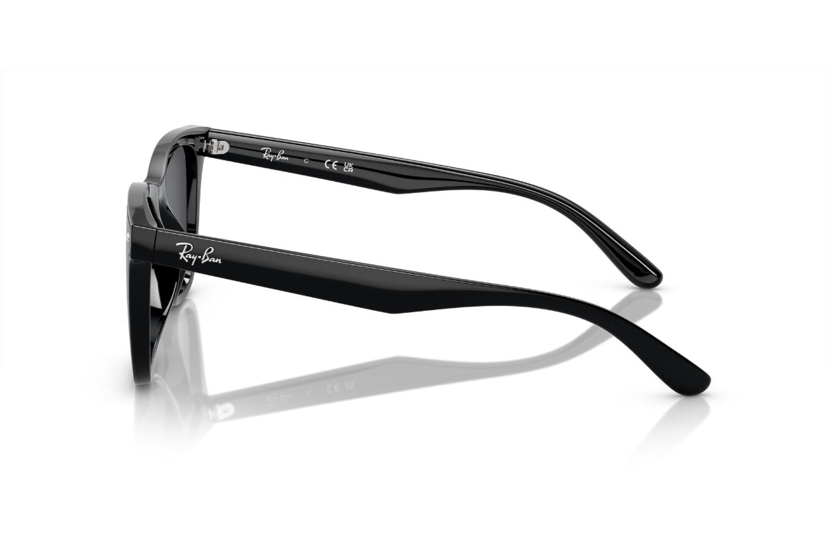 Ray-Ban Lentes de Sol