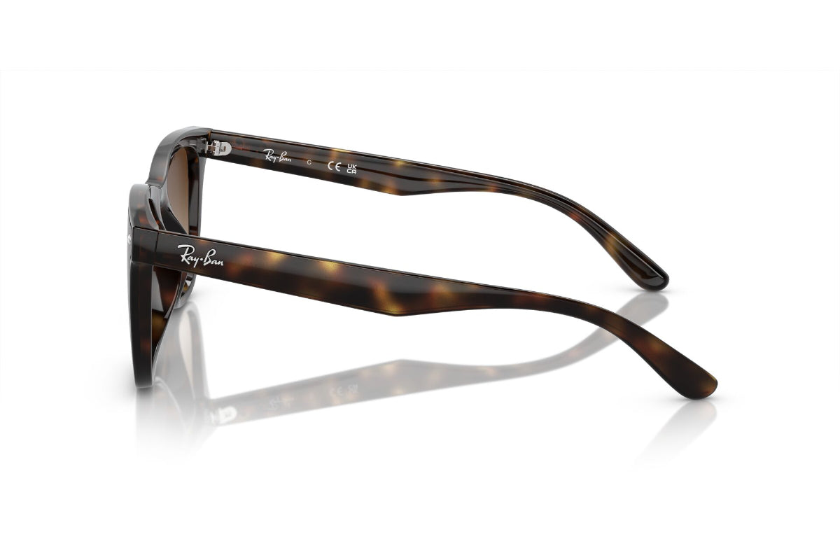 Ray-Ban Lentes de Sol RB4420