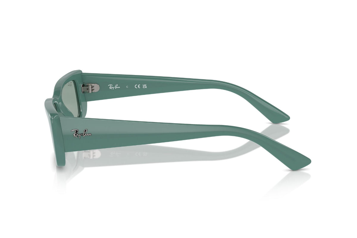 Ray-Ban Lentes de Sol Teru RB4425