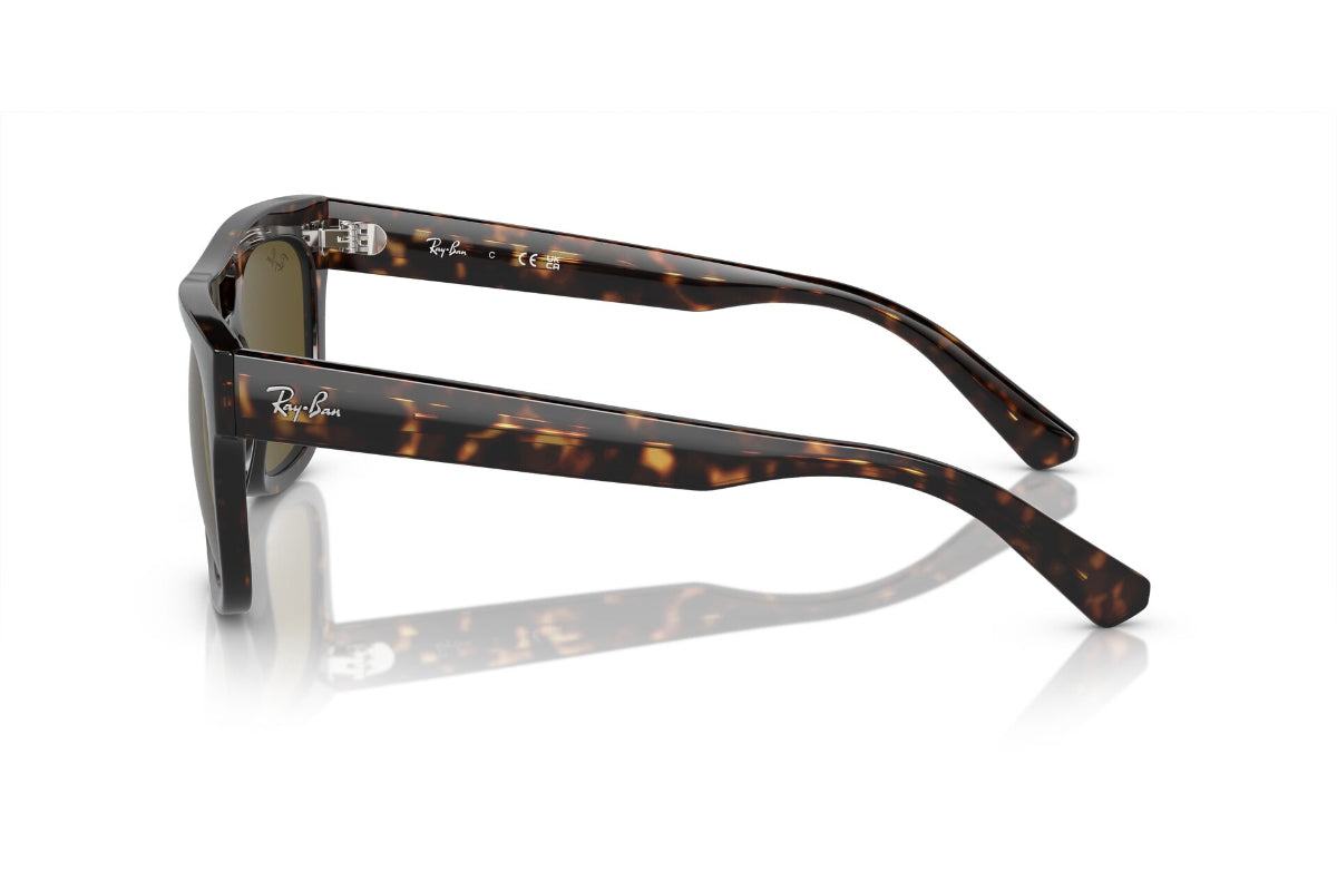 Ray-Ban Lentes de Sol Phil RB4426