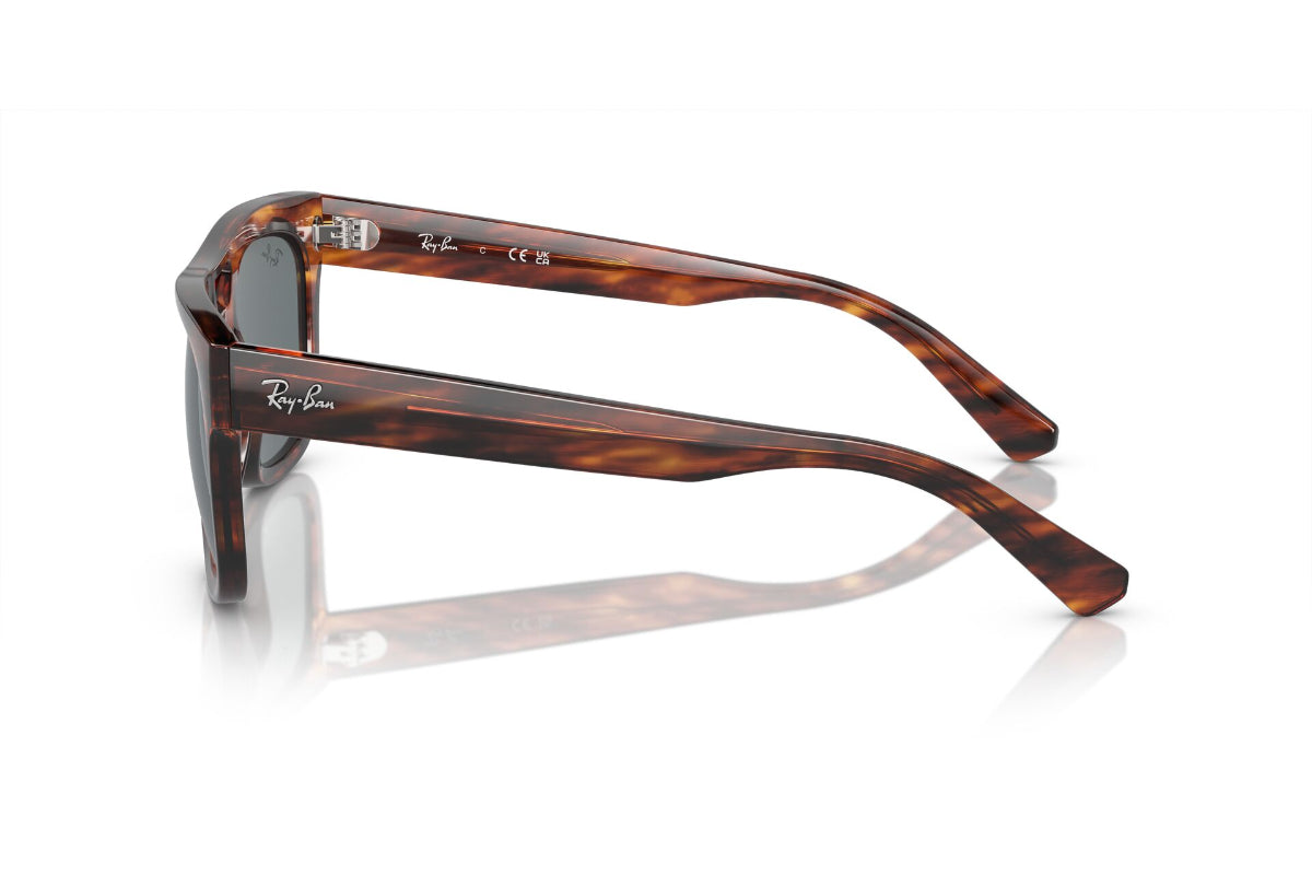 Ray-Ban Lentes de Sol Phil RB4426